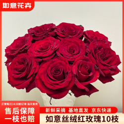 如意 玫瑰花10枝如意基地鲜切花插花花束如意基地源头直发