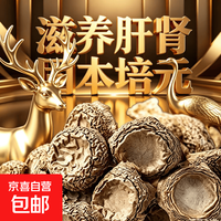 滋养气血鹿茸菇特产脆脆菇无熏新货 500g*2袋