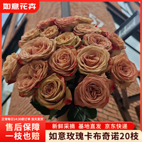 如意 玫瑰花20枝如意基地鲜切花插花花束如意基地源头直发