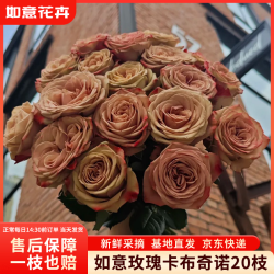 如意 玫瑰花20枝如意基地鲜切花插花花束如意基地源头直发