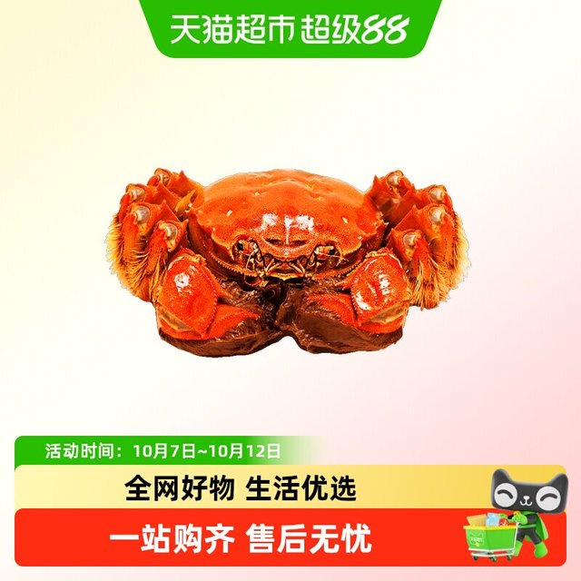 88VIP、今日必买：阳澄格调 精品大闸蟹 全母2.8-3.1两 8只