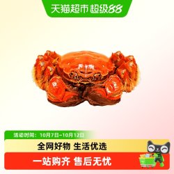 阳澄格调 精品大闸蟹 全母2.8-3.1两 8只