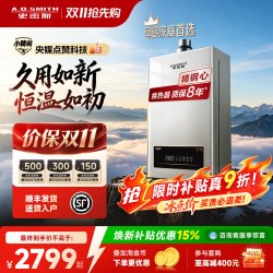 史密斯 A.O.史密斯 TMA系列 燃气热水器