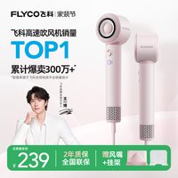 飞科 高速吹风机家用负离子护发大风力速干电吹风筒