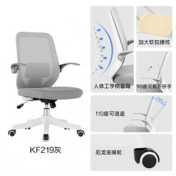 得力普乐士 宿舍电脑椅家用学习椅子写字椅舒适家用转椅办公靠背椅