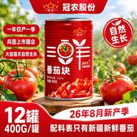 百亿补贴：冠农股份 新疆番茄块 12罐 400g 家用餐饮做菜蕃茄西红柿块番茄罐头调料品