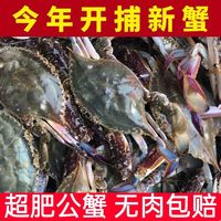 5斤梭子蟹。规格，单只2~3两，公蟹。