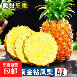 京喜加 海南 金钻凤梨17号 净重4.5-5斤 3个中果单果 1.3-1.9斤