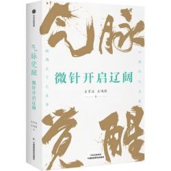 《气脉觉醒：微针开启辽阔》
