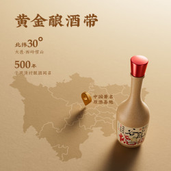 谷小酒 谷院烧酒黄瓶 52度 川派浓香 固态发酵纯粮白酒 500ml