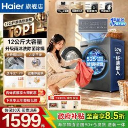 海尔 滚筒洗衣机全自动大容量 12kg 纯平嵌入+AI八维稳擎+除菌除螨
