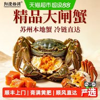 移动端、88VIP：阳澄格调大闸蟹全母蟹鲜活螃蟹湖蟹现货水产礼盒海鲜礼盒