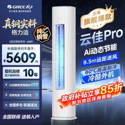 格力 空调云佳Pro2匹柜机新一级能效变频冷暖家用立式