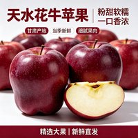 庾丰 甘肃天水花牛苹果 新鲜水果整箱团购  5斤（净果4.5斤）优选果