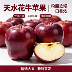 庾丰 甘肃天水花牛苹果 新鲜水果整箱团购  5斤（净果4.5斤）优选果
