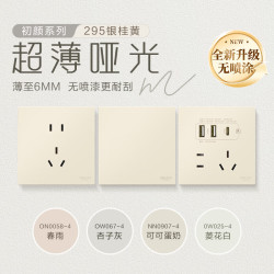 德力西 开关插座 CD295超薄哑光磨砂大面板86型暗装银桂黄斜五孔10只装
