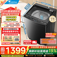 小天鹅 波轮洗衣机全自动 12公斤  TB12M09T