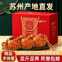 湖中居 苏州大闸蟹现货全母蟹2.8-3.1两鲜活螃蟹礼盒足斤足两特大