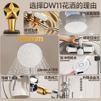 惠达 5092 铜主体 花洒套装