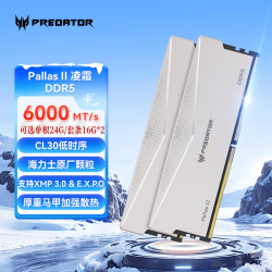 PREDATOR DDR5 台式机内存条 PALLAS II凌霜系列  6000MHz C30凌霜银 24GB 1条 24G*1