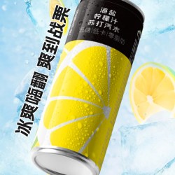 田园约定 海盐柠檬味苏打气泡水330ml*24瓶