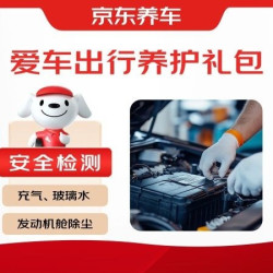 京东养车 全车检测+轮胎充气+玻璃水+发动机吹尘