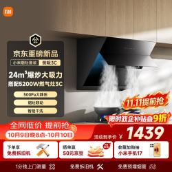 米家 MJ02D 24m³/min风量 天然气侧吸油烟机+燃气灶套装