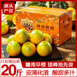 土八鲜 江西橙子赣南脐橙赣州脐橙手剥橙新鲜水果净重礼盒 奋进橙18.5-20斤 奋进橙20斤装