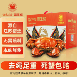 宿有千香 【活蟹】宿有千香鲜活大闸蟹 全母蟹2.5-2.8两/只 共8只 去绳足重 蟹类生鲜螃蟹礼盒
