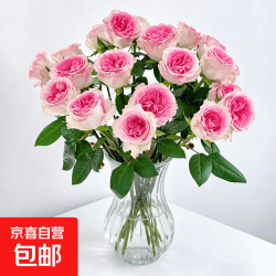 京喜 玫瑰花鲜花云南昆明基地直发新鲜批发百合鲜切花束向日葵花瓶插花 洛神玫瑰10枝