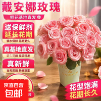 京喜 鲜花戴安娜粉色玫瑰送女友求婚花束家居软装装饰生活真花 戴安娜玫瑰9枝送1枝防损