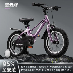凤凰 儿童自行车镁合金自行车儿童6-12岁碟刹童车男女童单车脚踏车 星云紫