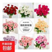 京喜 单头玫瑰 随机色 30枝