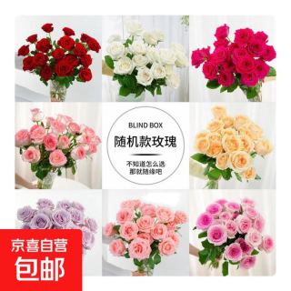 京喜 单头玫瑰 随机色 30枝