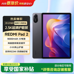 小米 REDMI Pad 2 红米 平板电脑 11英寸 2.5K护眼屏 澎湃OS2 学习机 8G+128GB 紫色