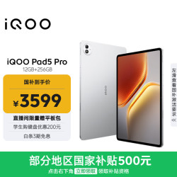iQOO Pad5 Pro 13.0英寸 Android 平板电脑 (2.8-3.2K、天玑 9400+、12GB、256GB、WiFi版、银翼)