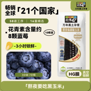 北纬47° 北纬47度 黑珍珠糯玉米棒4斤 200g*10根 东北甜黑糯棒 含花青素杂粮粗粮早餐