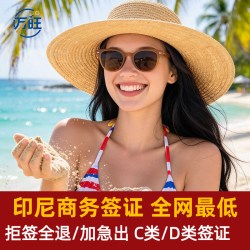 印度尼西亚·商务签证·全国送签·参展印尼C11商务电子签证60天简化加急巴厘岛泗水雅加达签证
