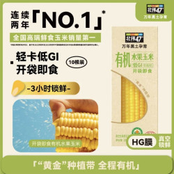北纬47度 有机水果玉米甜玉米4斤(200g*10根) 低GI即食玉米东北 早餐苞米