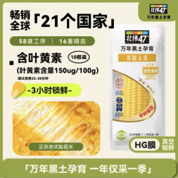 北纬47° 北纬47度 黄糯玉米 4.8斤(240g*10根)东北甜黏玉米棒真空包装 杂粮粗粮 早餐