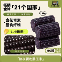 北纬47度 黑珍珠甜糯玉米段 2.8斤/箱  东北鲜黏糯玉米 含花青素 减脂早餐