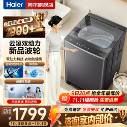 海尔 波轮洗衣机10公斤XQS100-BZ6VE2