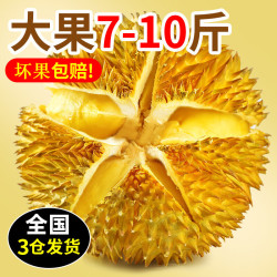 其它 采缇泰国金枕头榴莲2~10斤新鲜带壳应当季孕妇时令水果巴掌进口榴莲 金枕榴莲2-3斤