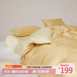 AIDLI 100支新疆长绒棉四件套 200