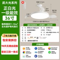 海尔 超薄一级能效隐形扇风扇灯吊扇灯客厅餐厅卧室家用2026年新款