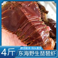 玖舢鲜 东海琵琶虾鲜活冷冻海虾大九齿扇虾超大海鲜姑虾