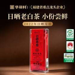 福鼎白茶 2022年寿眉 10g 白茶