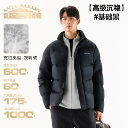 安踏 速暖羽绒丨短款四防羽绒服男冬季立领防风夹克防泼水外套上衣