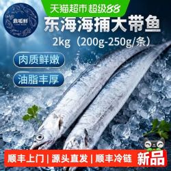 鼎呱鲜 精品东海海捕带鱼 深海新鲜款 2kg 整袋装