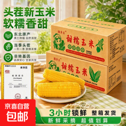 莫小仙 新鲜黄糯玉米真空包装速食玉米低脂粗粮代餐杂粮早餐包邮 福利专项 4棒 200g起/棒